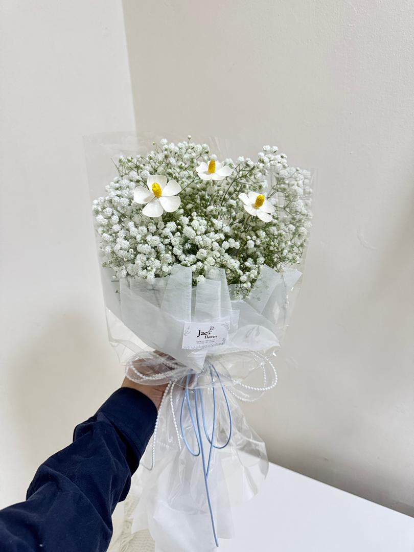 Baby Breath